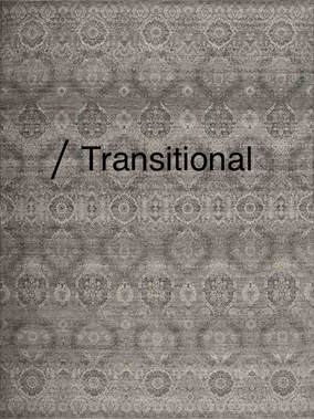 Patterned rug with the word 'Transitional' displayed on it.